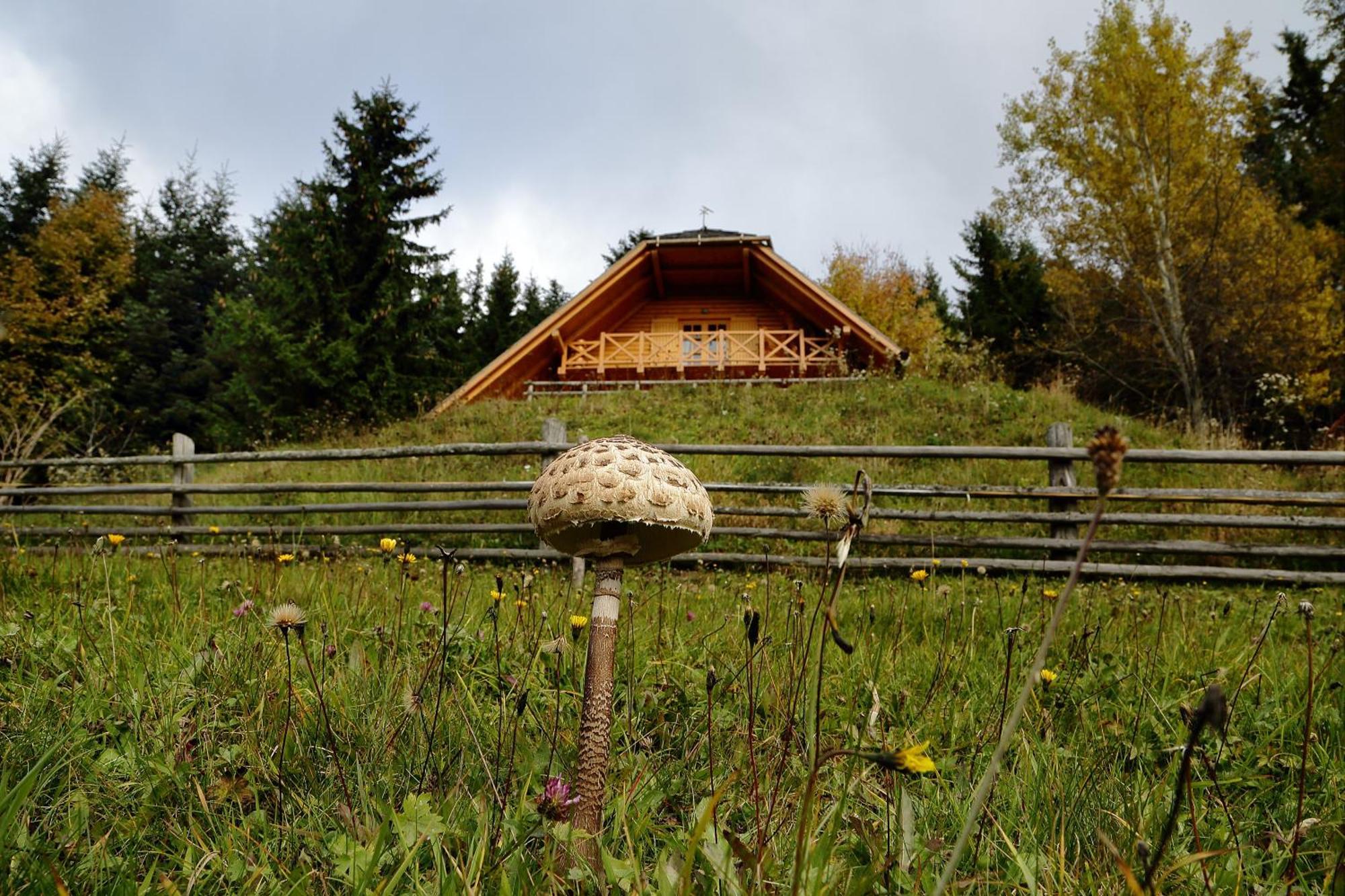 Charming Chalet Rogla Hudinja Ngoại thất bức ảnh